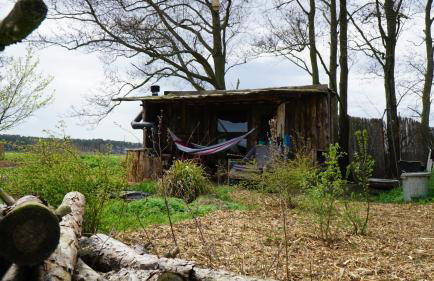 Auszeit inmitten der Natur - its a kind of magic - Foto 4