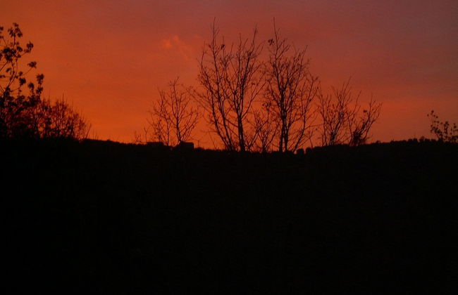 Agriturismo le Cammarose - Photo 40