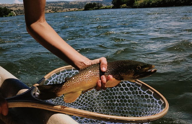 Yellowstone Peaks Hotel - Foto 38