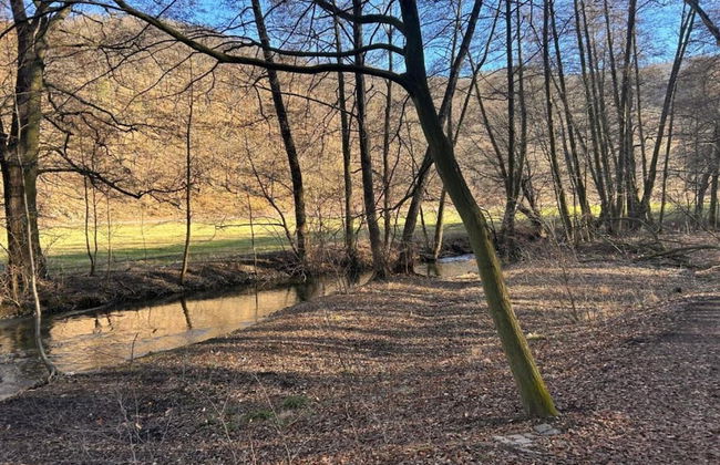 Welcoming Apartment in Meisdorf Near Nightlife - Foto 62