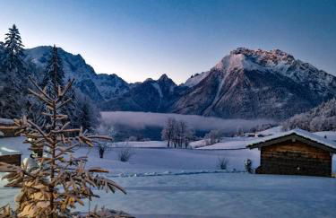 Ferienwohnung Datzmannlehen mit traumhaften Bergblick und Sauna - Foto 27
