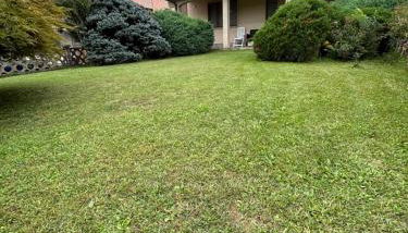 Casa tra le vigne - Foto 4