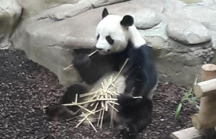 Gite La Vigneronne en Touraine - Foto 18