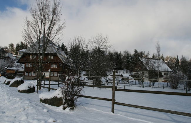 Historisches Ferienhaus im Schwarzwald - Foto 37