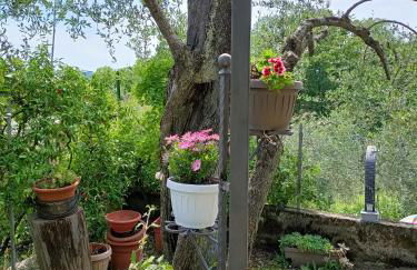 La Gesualda locazione turistica - Foto 42