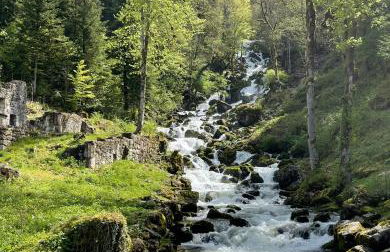 L'Oréline au cœur de la région des Lacs du Jura - Foto 23