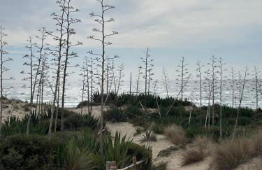 Senses Villa - Foto 50