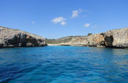 Finca Son Blat - Photo 52