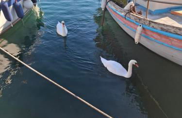 Markella's apartment Karystos - Foto 20