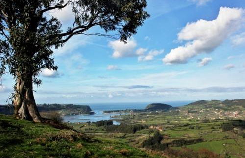 Hotelapartamentos Torres - Foto 18