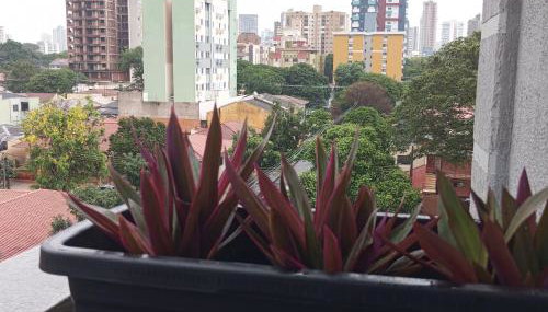 Apartamento em Maringá zona 07, próximo da universidade UEM - Foto 4