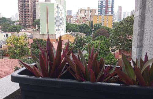 Apartamento em Maringá zona 07, próximo da universidade UEM - Foto 4