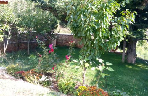 Elatos cozy Studio - Foto 29