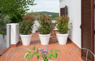 Finca El Azahar - Foto 29