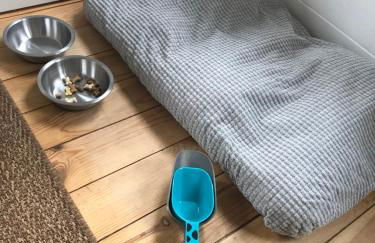 Cottage Le Cerf-volant - Foto 34