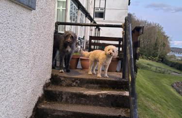 North Lodge Kilmun - Foto 66