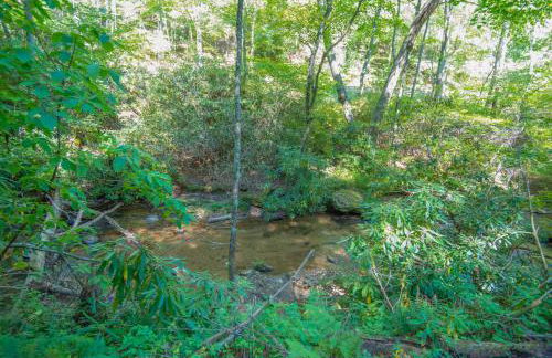 Tucked away in the woods - minutes to the New River - Acreage to explore! - Foto 40