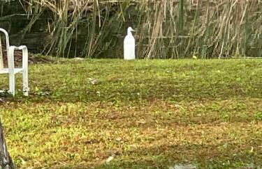 Professor Rousseau's Tiki Hideaway - Foto 36