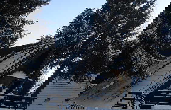 Waldsee Feriendienst - Foto 27