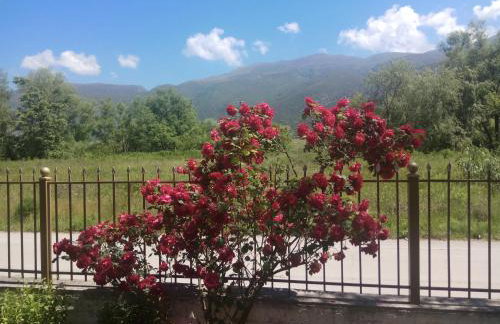 Zisis Garden Studios - Photo 51