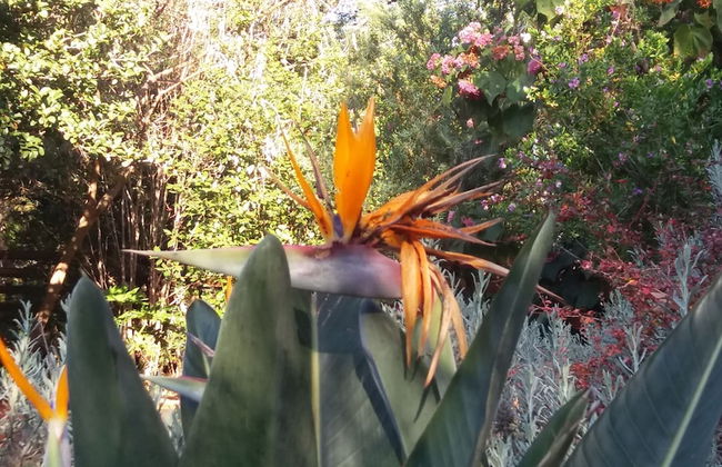 Woodland Gardens - Photo 65