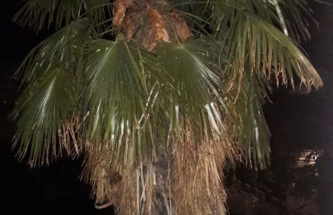 Apartment on Demokraticheskaya str 45-27 - Photo 8