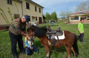 Agriturismo Terra Di Elea azienda agricola di Raimondo MIchela - Foto 46
