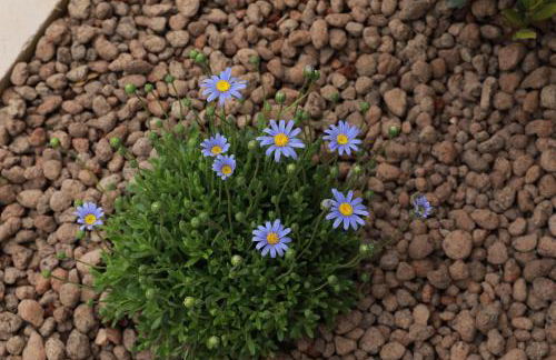 Tenuta Cesarina - Foto 25