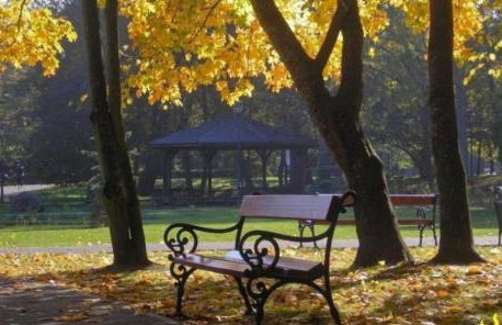 Apartament Wałowa 4 - Foto 12