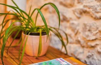 Heritage House Vrime - stone house with heated pool - Photo 30