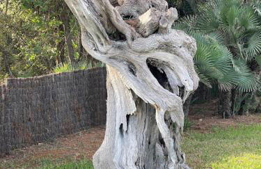 Nostra Caseta villa with pool & marina view near beaches - Foto 53