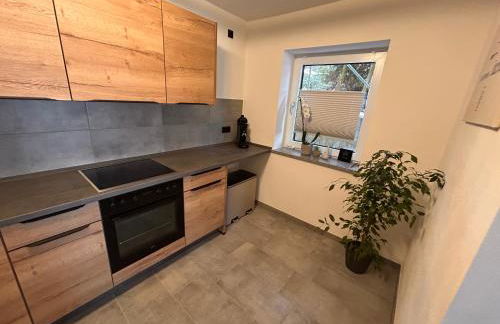 Ferienwohnungen Rauch - Foto 13