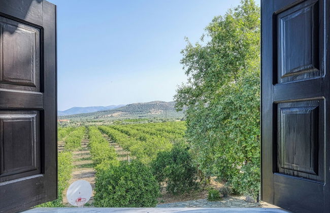 Orange Grove Villa - Foto 2