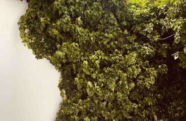 Duplex Archidona Centro - Foto 15