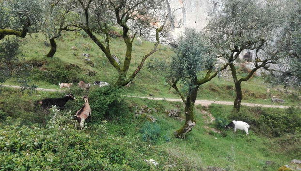 Slate Villages Tour of the Serra da Lousã - Foto 4