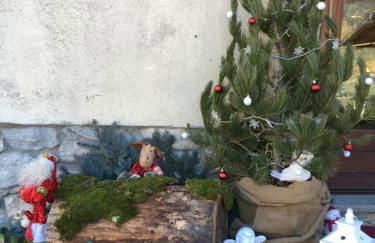 La Peiro Douco - Foto 18