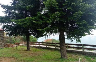 Άγρια Λούλουδα Κατοικία Αρμονία - Photo 47