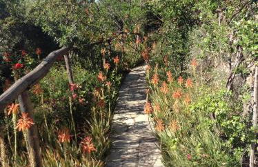 Dimitra Apartments - Foto 47