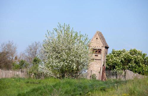Ferienwohnung Bergschäferei - Foto 12