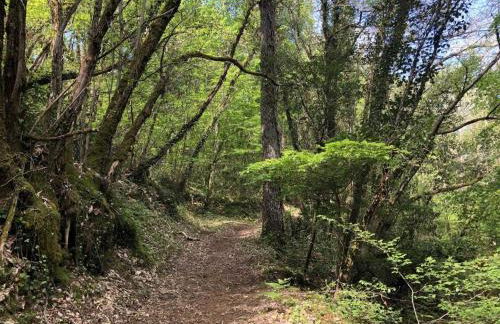 Séjour au cœur de la Dordogne avec piscine et terrasse - FR-1-616-260 - Foto 34