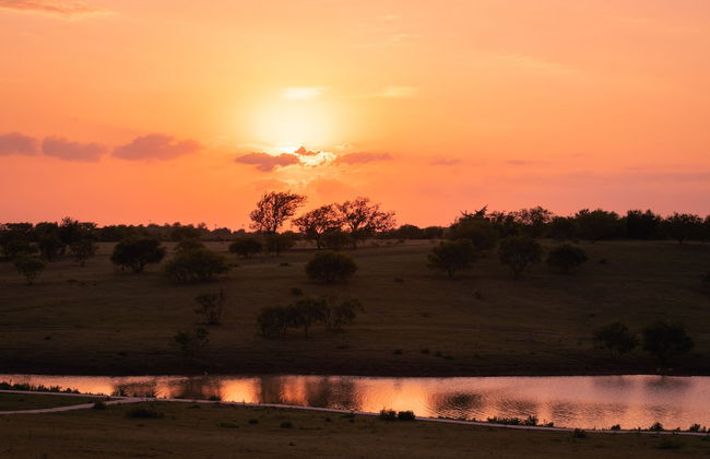 Blue Hills Ranch - Foto 69