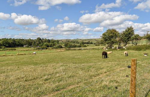 Forget-Me-Not - Uk37646 - Foto 14