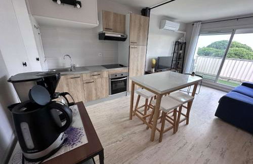 Bel appartement rénové 2 pièces avec clim et parking privé pour 4 personnes à Port Camargue - FR-1-731-153 - Photo 18