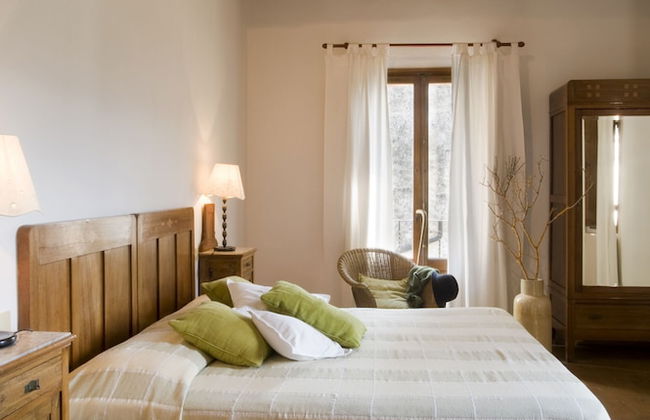 Azienda Agricola Montestigliano - Foto 9