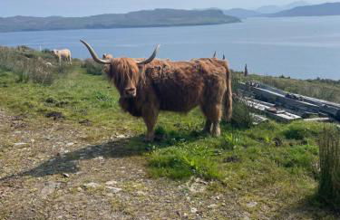 The Rowanberry Suite at Rowan Cottage - Foto 15