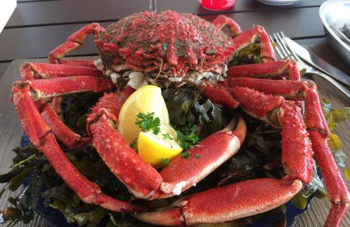 La Langouste ROUGE - Foto 38