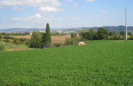 Agriturismo Consalvi - Foto 64