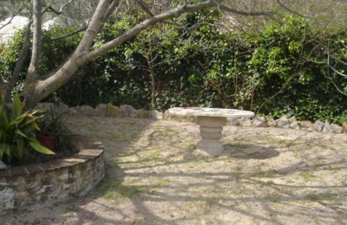 El Cañuelo - Foto 20