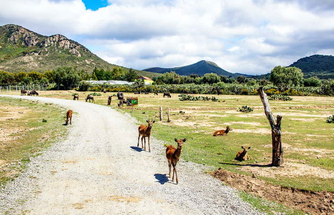 Escursione a Mundo Fútbol e Tuzoofari - Foto 7
