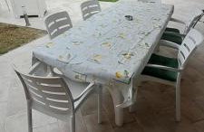 Villa Carol - Photo 13